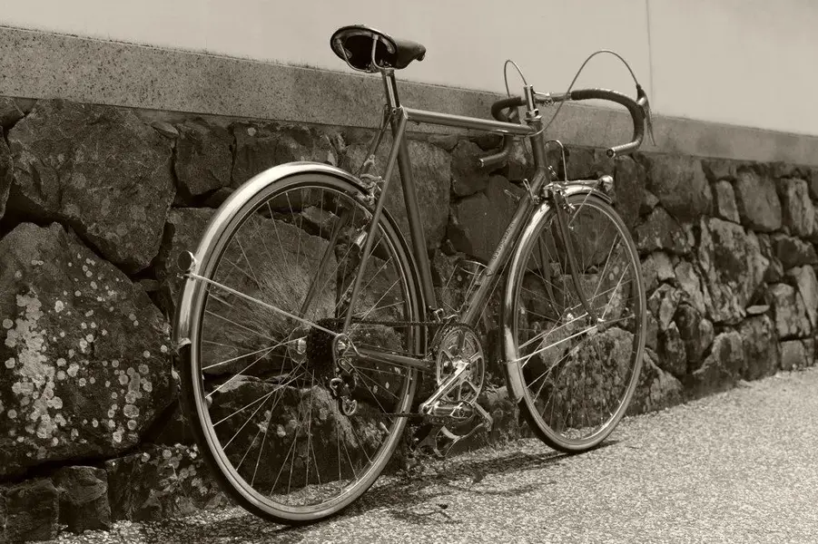 ALEX SINGER RANDONNEUR 2.webp