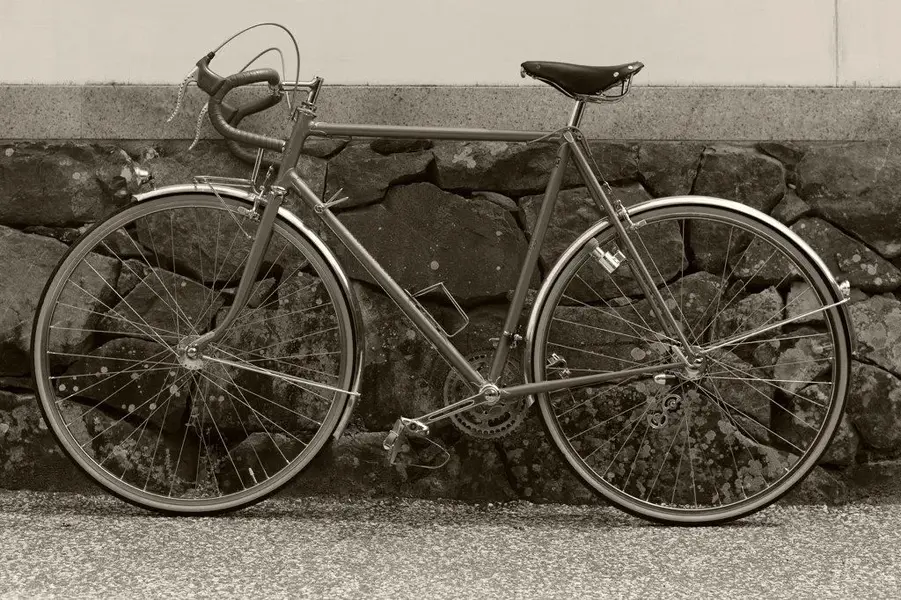 ALEX SINGER RANDONNEUR 3.webp