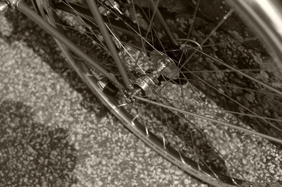 ALEX SINGER RANDONNEUR 5.webp