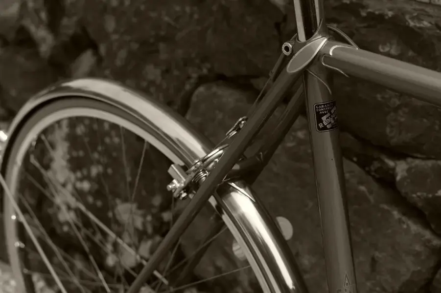 ALEX SINGER RANDONNEUR 8.webp