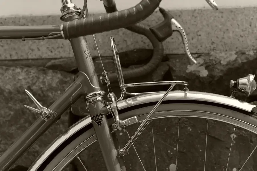 ALEX SINGER RANDONNEUR 9.webp