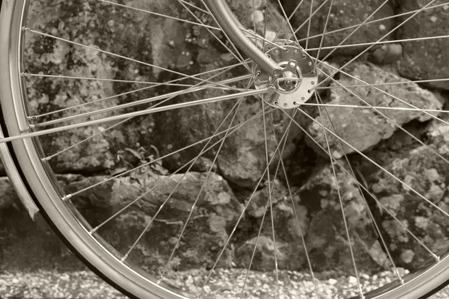 ALEX SINGER RANDONNEUR 11.webp
