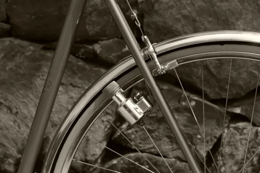 ALEX SINGER RANDONNEUR 14.webp