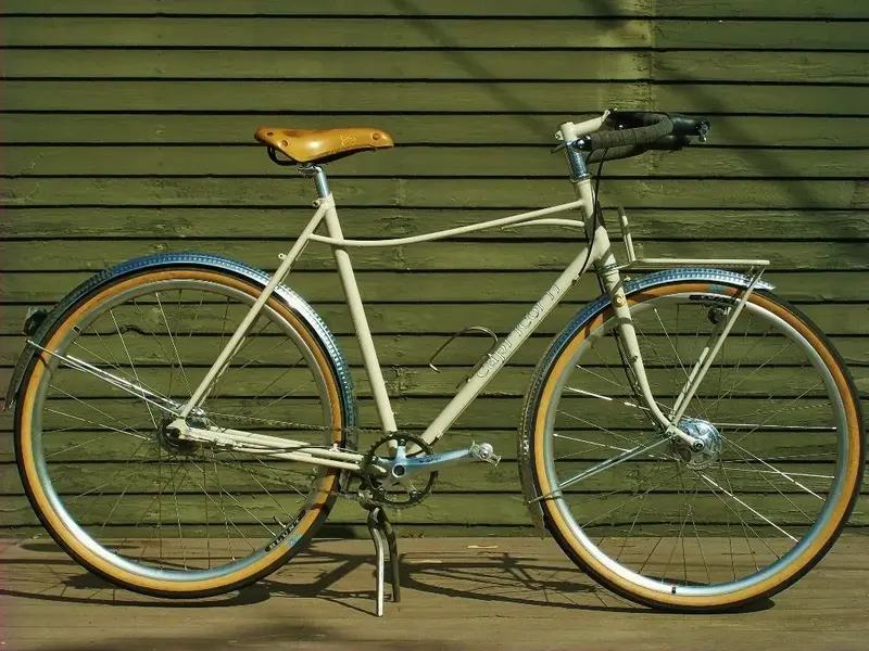 Capricorn mixte31.webp