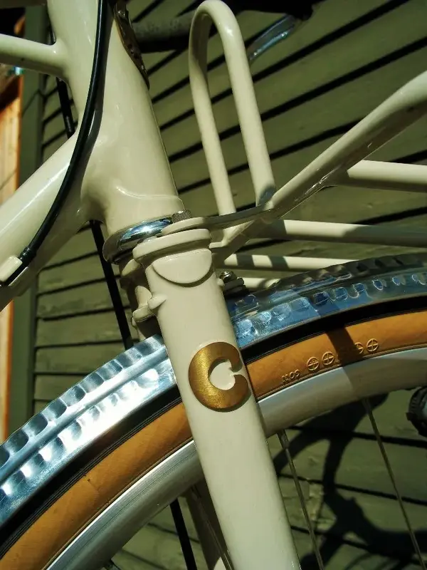 Capricorn mixte32.webp