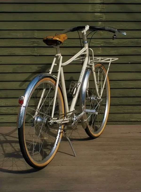 Capricorn mixte37.webp