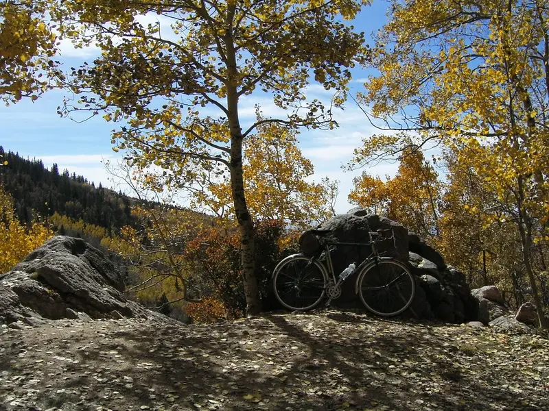 BRIDGESTONE SIRRUS 4.jpg