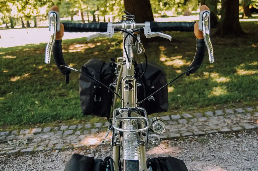 Surly 6.webp