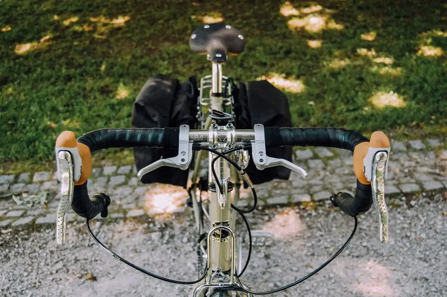 Surly 7.webp