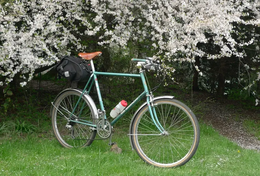 BIANCHI GRIZZLY 2.jpg