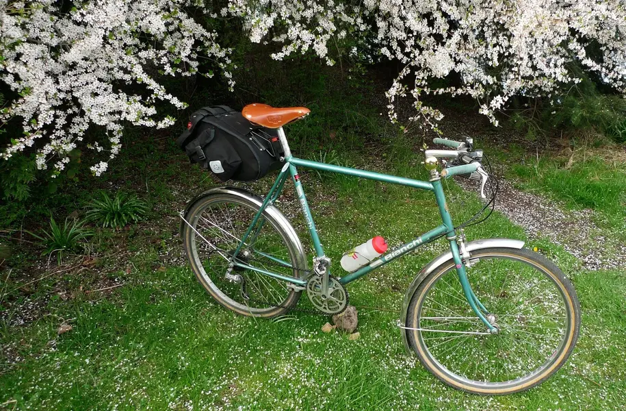 BIANCHI GRIZZLY 5.jpg