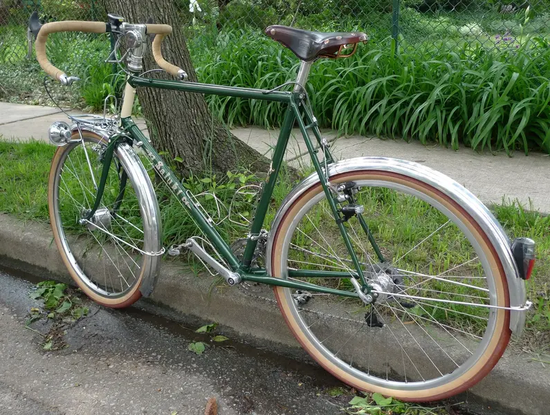 RIVENDELL SALUKI 8.jpg