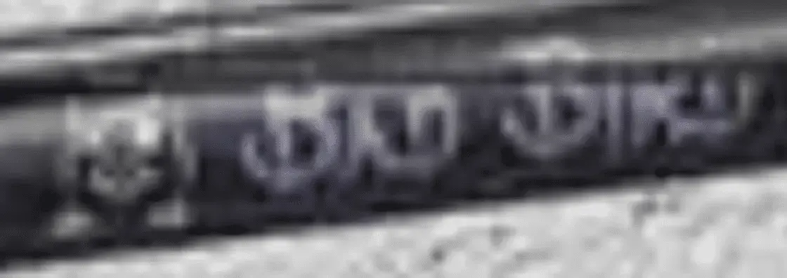 bad bird.webp