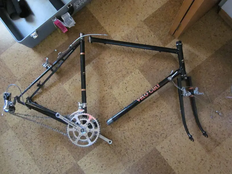 VELO CULT18.webp