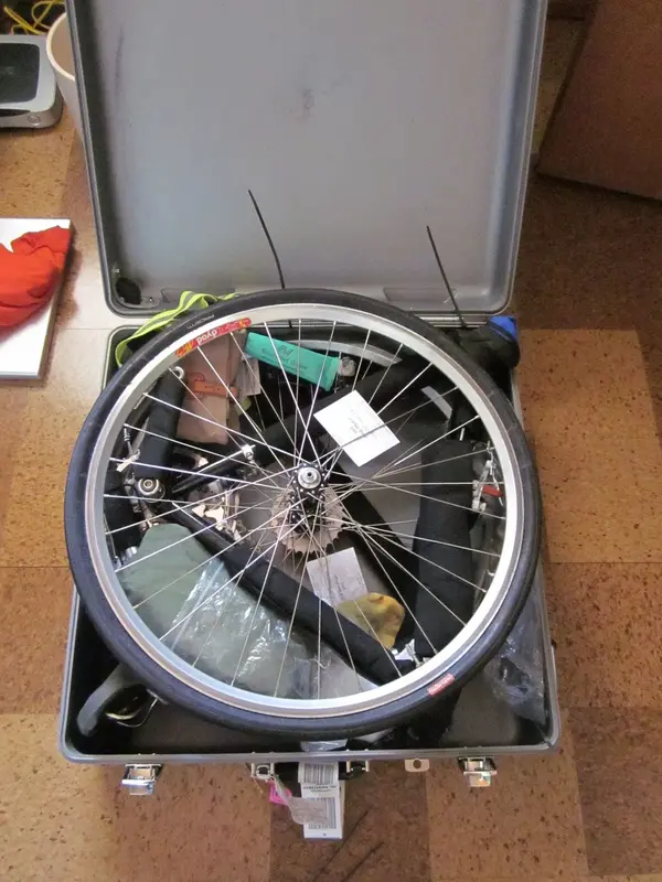 VELO CULT19.webp