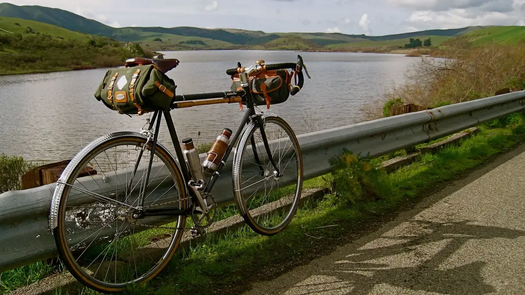 SURLY STEAMROLLER 8.webp