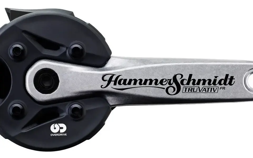 HammerSchmidt_NSMB_AndrewM_13.2e16d0ba.fill-1920x1200.webp