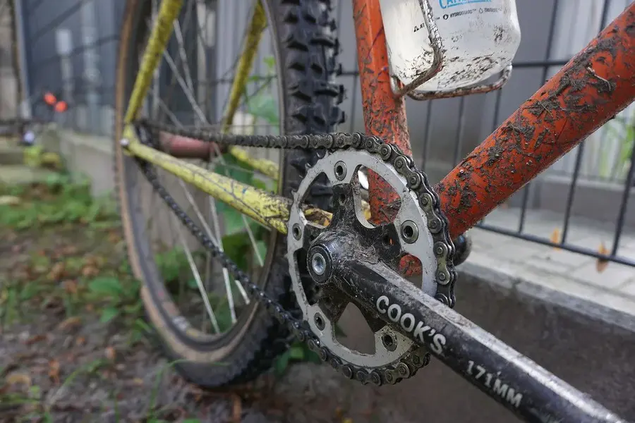 2179944-djwxb20qm995-dsc07337-large.webp