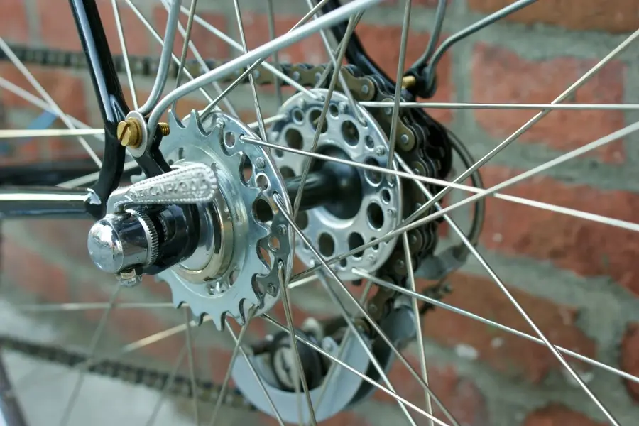 ROTRAX 31.webp