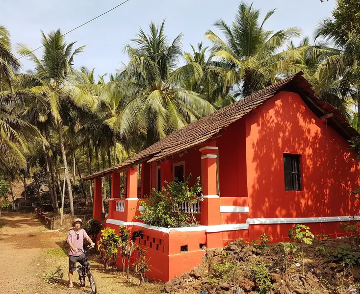near AGONDA .webp