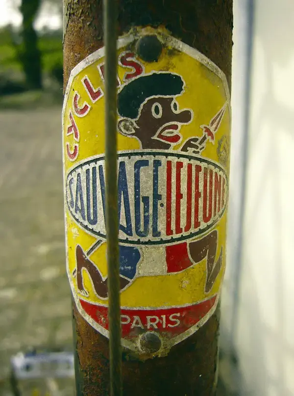 SAUVAGELEJEUNETWIN7.webp