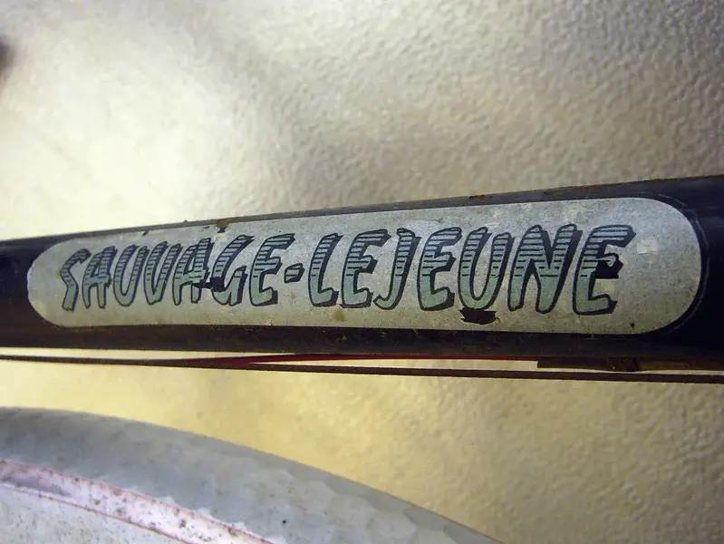 SAUVAGELEJEUNETWIN8.webp