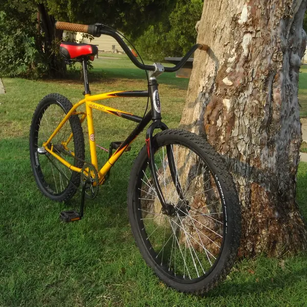 Schwinn HD 1st Day.webp