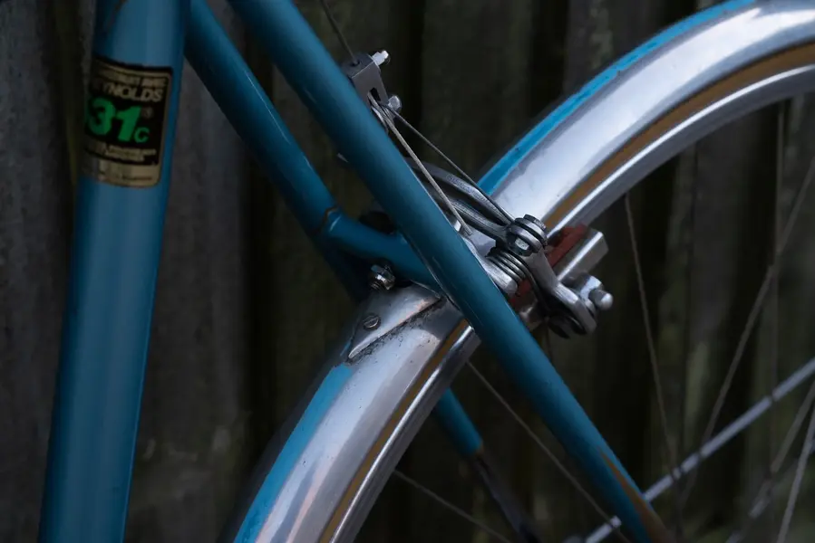 ALEX SINGER SPORTIF 42.webp