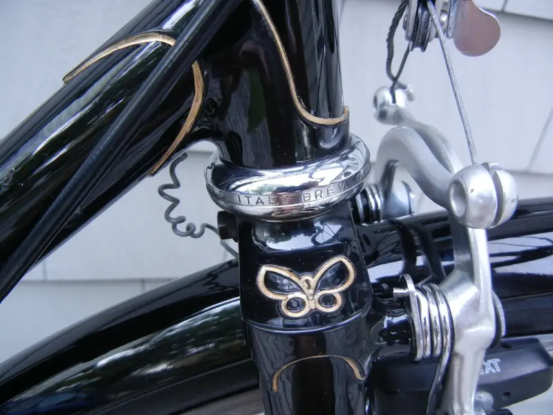 MARIPOSA 12.webp