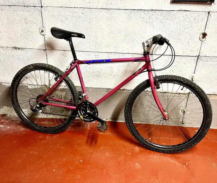Raleigh Apex Latest.webp