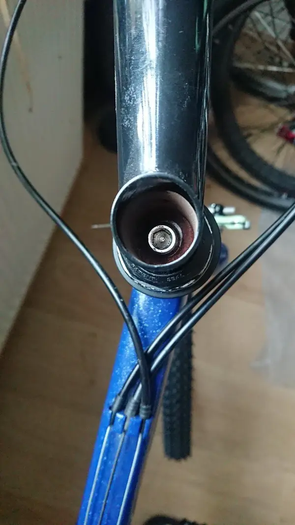 Stem bung (1).webp