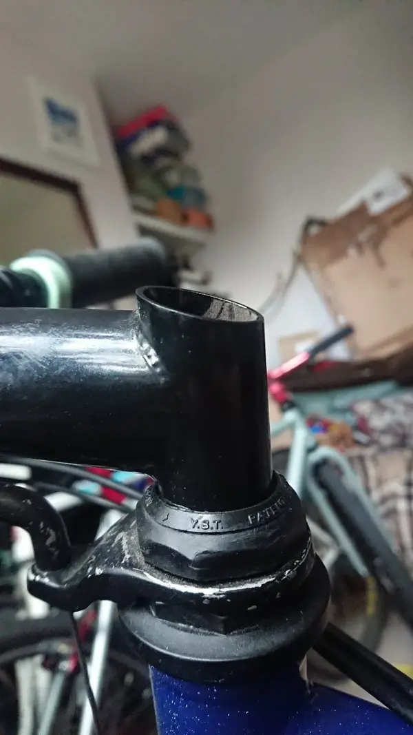 Stem bung (2).webp