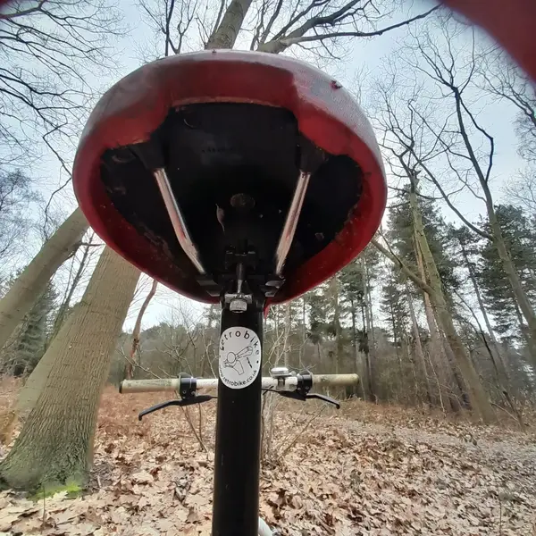 IMG-20230212-WA0010.webp