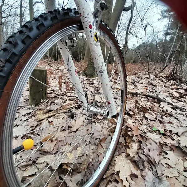 IMG-20230212-WA0009.webp