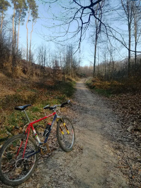 P20_Meerdaal.webp