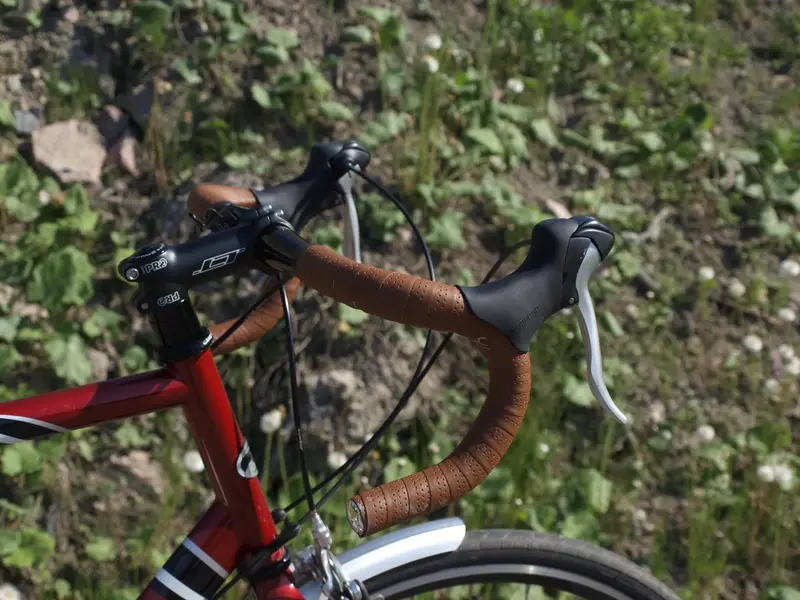 Dawes Sportif6.webp