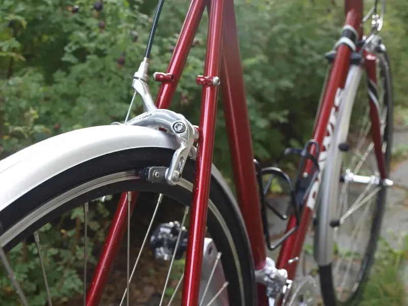 Dawes Sportif9.webp