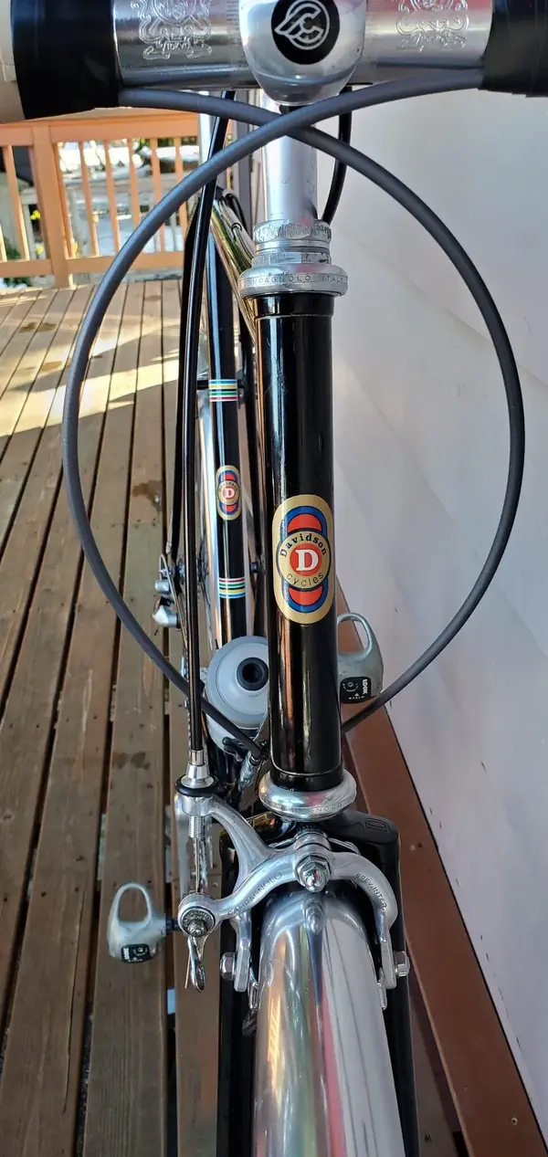 DAVIDSON7.jpg