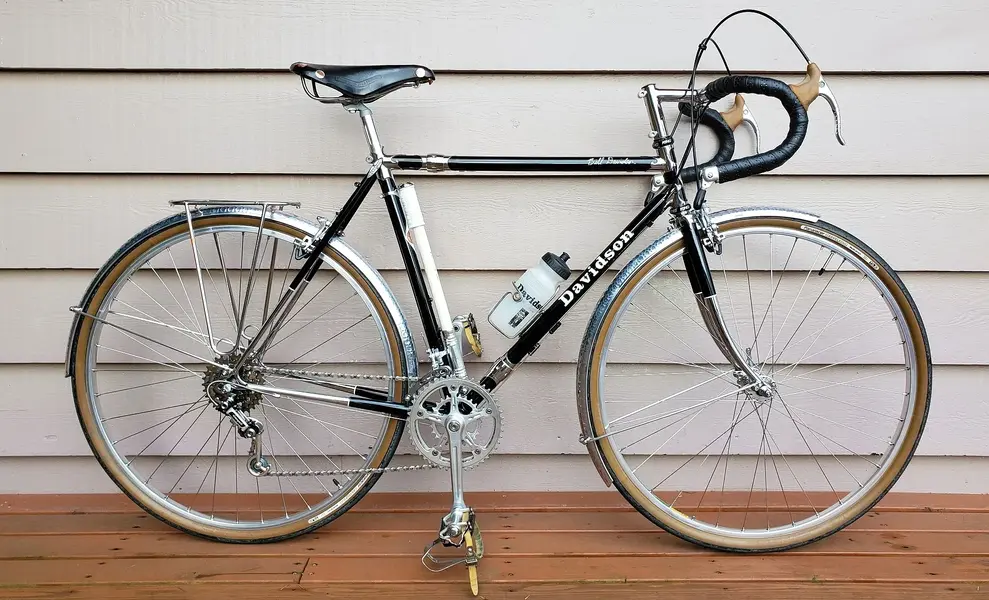 DAVIDSON AUDAX1.jpg