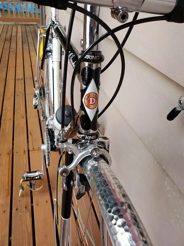 DAVIDSON AUDAX5.jpg
