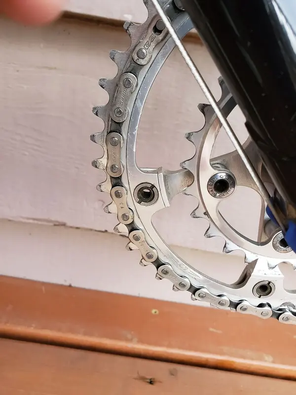 DAVIDSON AUDAX12.webp