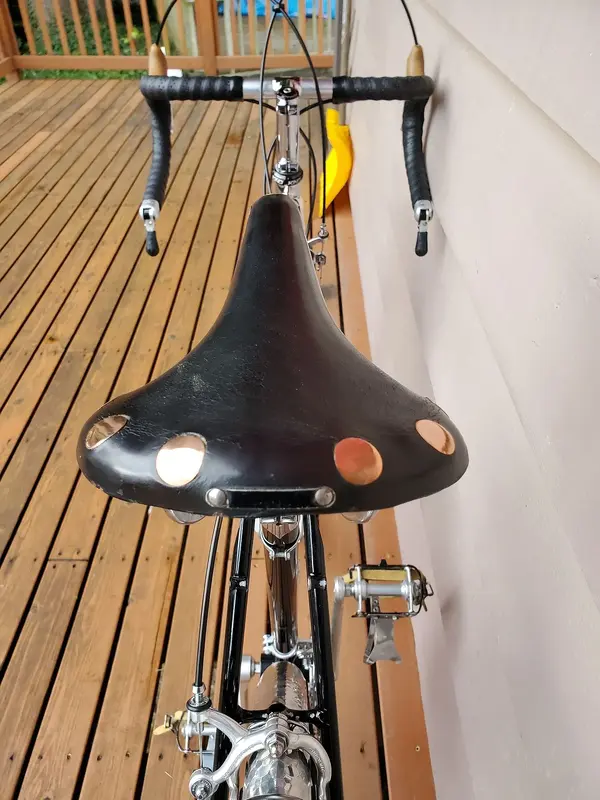 DAVIDSON AUDAX14.webp