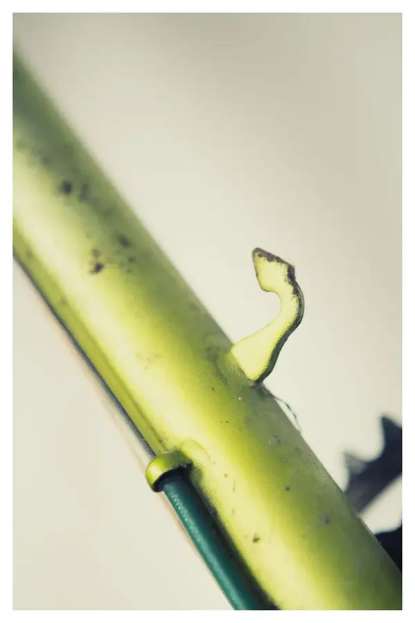 H. Leynaud Tamboite rando a11.webp