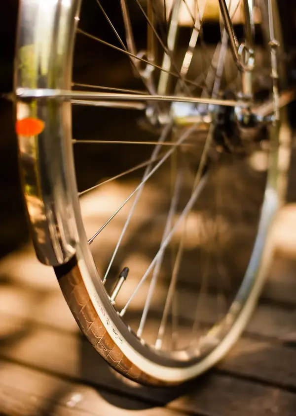 Bertin 3spd conversion13.jpg