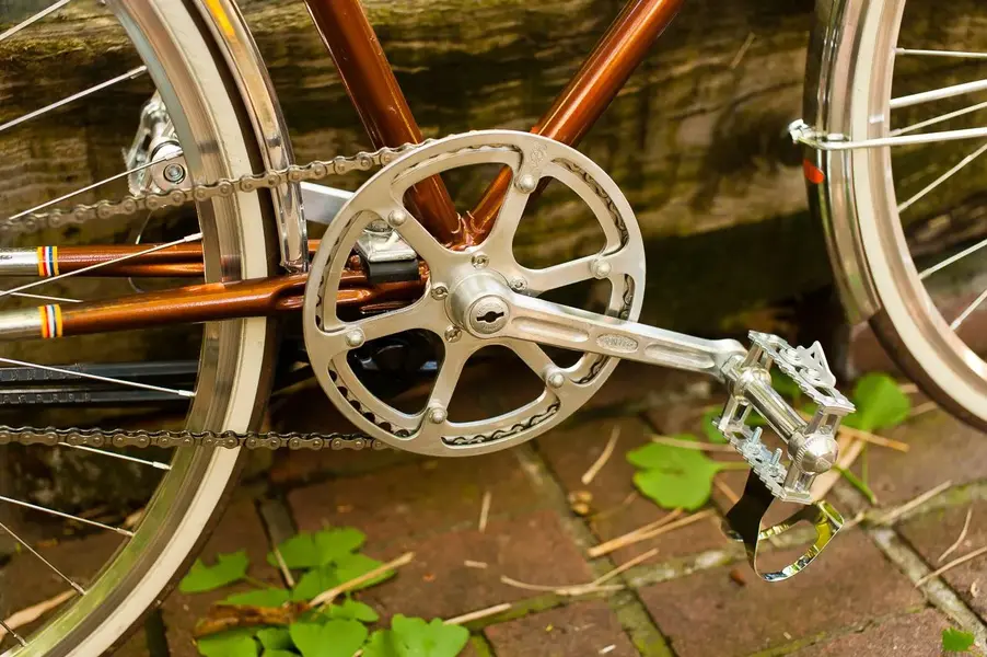 Bertin 3spd conversion16.jpg