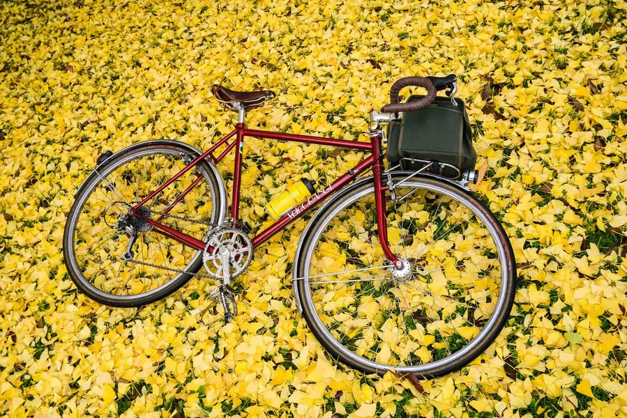 Velo Orange Passhunter 9.webp
