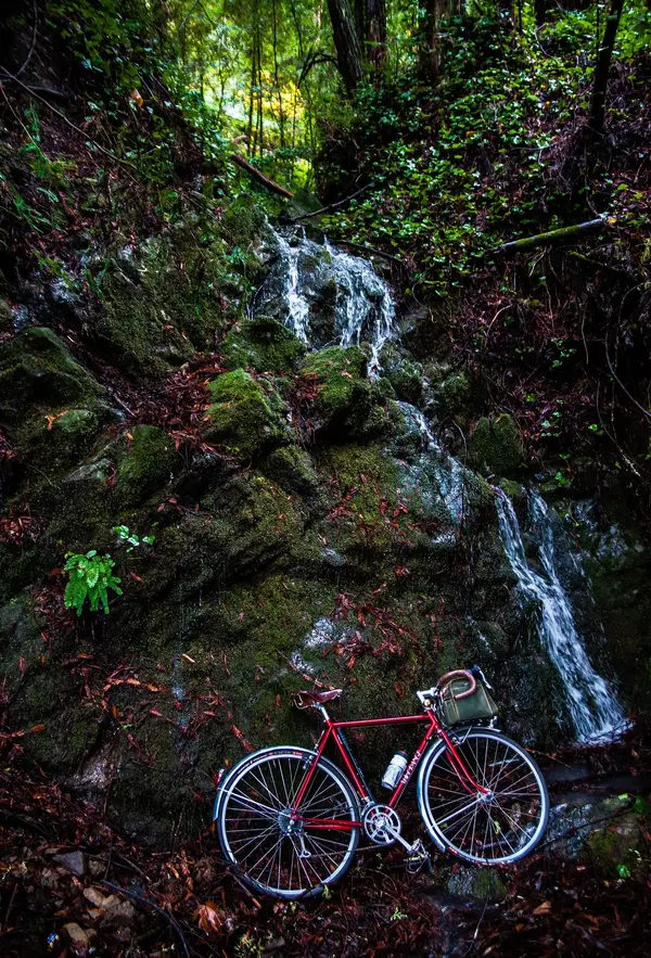 Velo Orange Passhunter 11.webp
