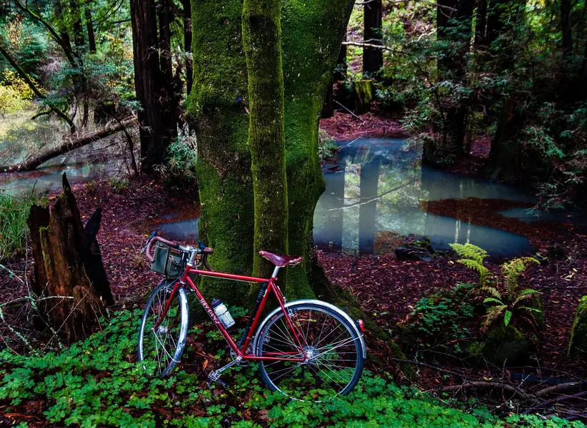 Velo Orange Passhunter 12.webp
