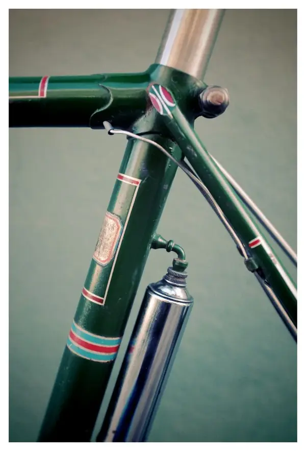 Dilecta Le Blanc 6.webp