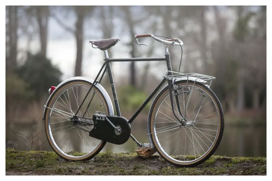 Goeland ~Paris 2.webp